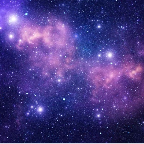 Meet your Posher, Carolina - Picture 1 of 1